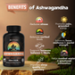 Gaia CALM | Ashwagandha Capsules