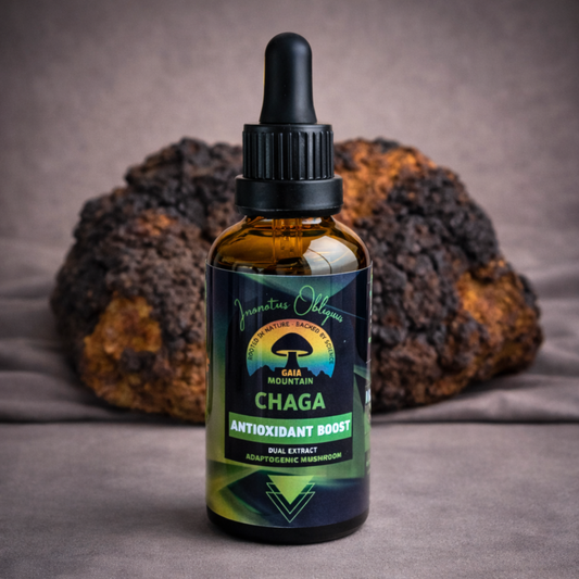 Chaga - 50ml Ultrasonic Assisted Dual Extract Tincture