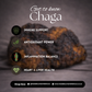 Chaga - 50ml Ultrasonic Assisted Dual Extract Tincture