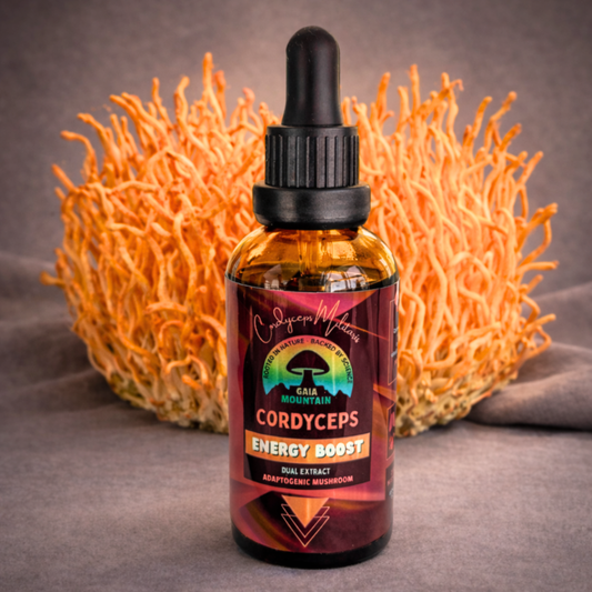 Cordyceps - Ultrasonic Assisted Dual Extract Tincture (Various sizes)