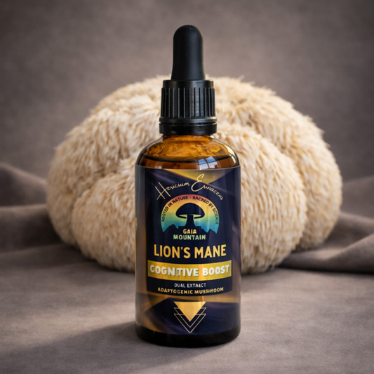 Lion's Mane - 50 ml Ultrasonic Assisted Dual Extract Tincture