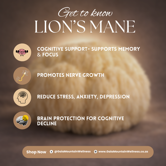 Lion's Mane - 50 ml Ultrasonic Assisted Dual Extract Tincture