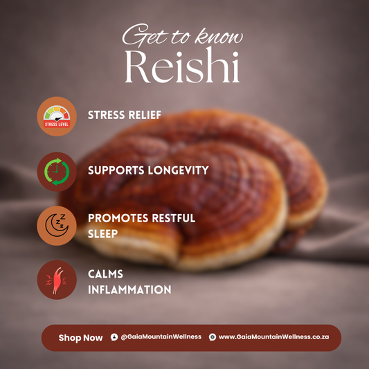 Reishi - 50 ml Ultrasonic Assisted Dual Extract Tincture