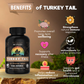 Gaia DEFENCE | Turkey Tail | 60 Veg Caps