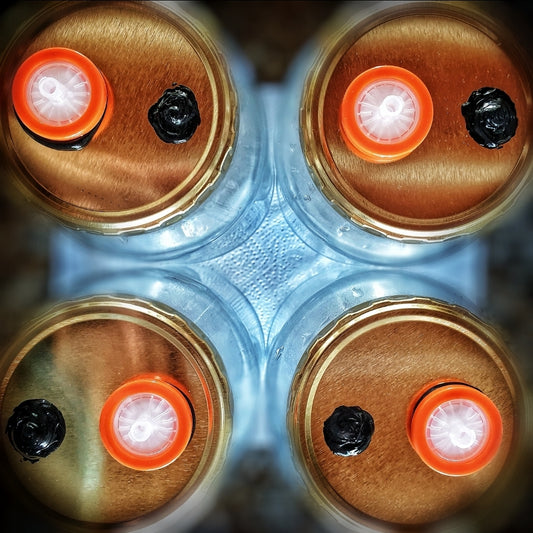 0.22 Micron Syringe Filters - Sterile, Single-Use (25mm Diameter)