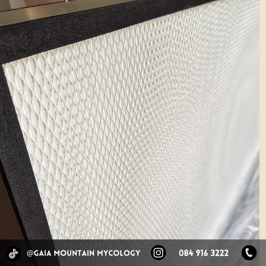 H14 HEPA FILTERS - 305x305x68