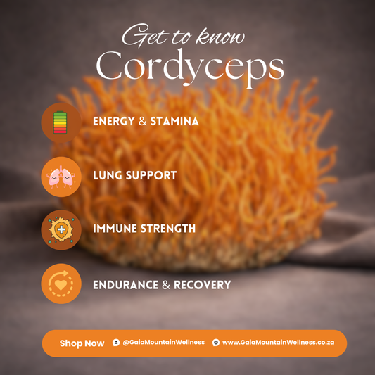 Cordyceps - Ultrasonic Assisted Dual Extract Tincture (Various sizes)