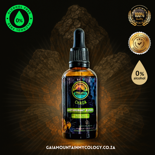 Chaga - 50ml Alcohol-FREE Ultrasonic Assisted Dual Extract Tincture