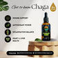 Chaga - 50ml Alcohol-FREE Ultrasonic Assisted Dual Extract Tincture