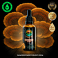 Turkey Tail - 50 ml Alcohol-FREE Ultrasonic Assisted Dual Extract Tincture