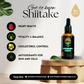 Shiitake - 50ml Alcohol-FREE Ultrasonic Assisted Dual Extract Tincture