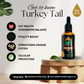 Turkey Tail - 50 ml Alcohol-FREE Ultrasonic Assisted Dual Extract Tincture