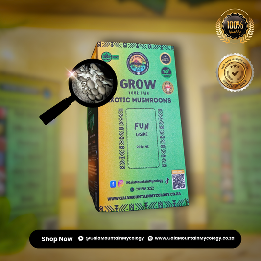 Premium Grow Kit- Brown Oyster