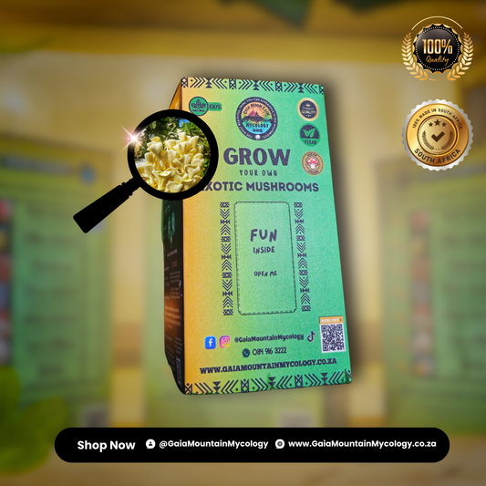 Premium Grow Kit- Golden Oyster