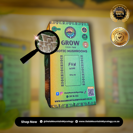 Premium Grow Kit- King Oyster