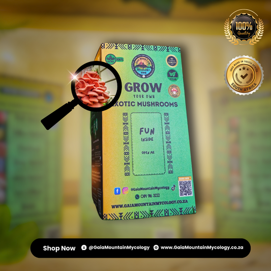 Premium Grow Kit - Pink Oyster