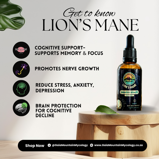 Lion's Mane - 50 ml Ultrasonic Assisted Dual Extract Tincture