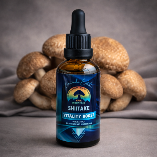 Shiitake - 50ml Ultrasonic Assisted Dual Extract Tincture