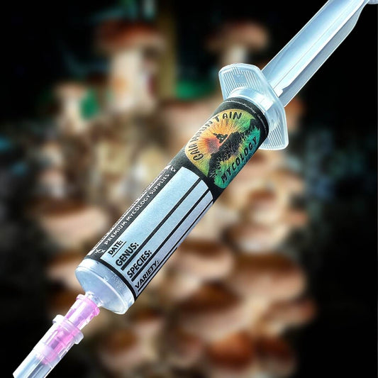 Liquid Culture- Shiitake LE3782 Warm (Commercial Strain)