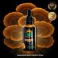 Turkey Tail - 50 ml Ultrasonic Assisted Dual Extract Tincture
