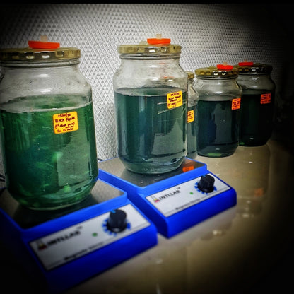 0.22 Micron Syringe Filters - Sterile, Single-Use (25mm Diameter)