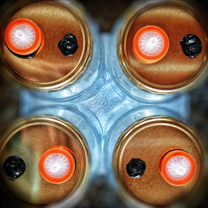 0.22 Micron Syringe Filters - Sterile, Single-Use (25mm Diameter)